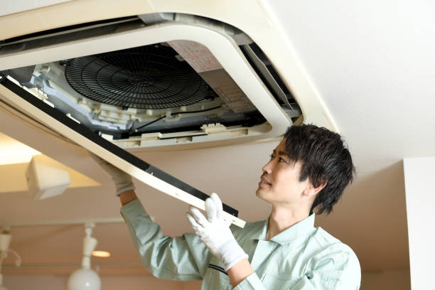Air Duct Mold Removal in Haslet, TX